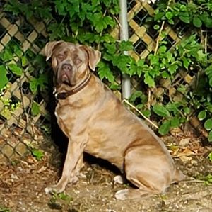 Meet your Posher, Janet